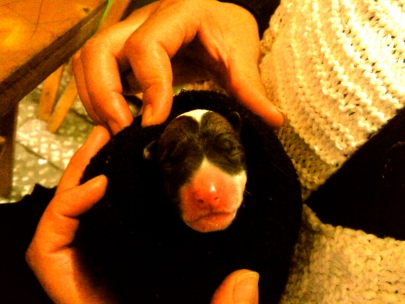 A new life has arrived to this wonderfull world. Welcome little one.