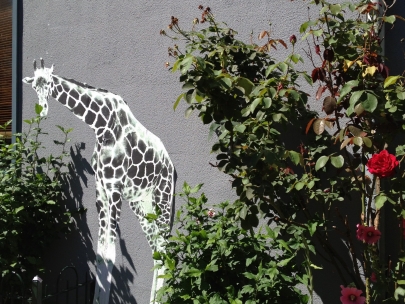 city animals