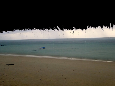Stuck in paradise