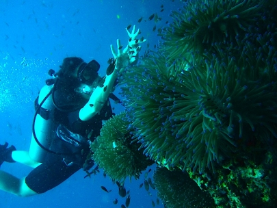 Playing with anemones