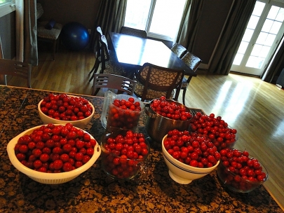 Our harvest