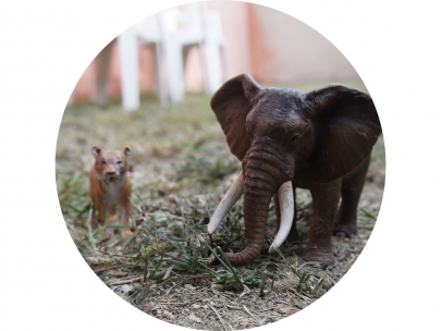 toyland animaux