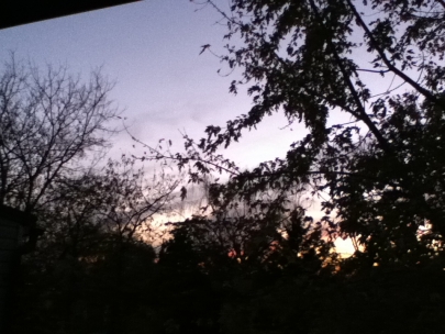 sunset
