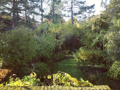 tuin