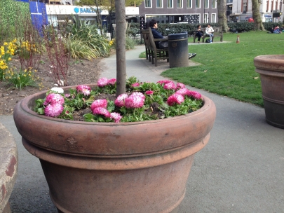 Spring