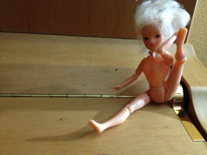 mini yogi
