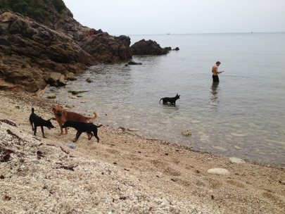 remon and his dogs