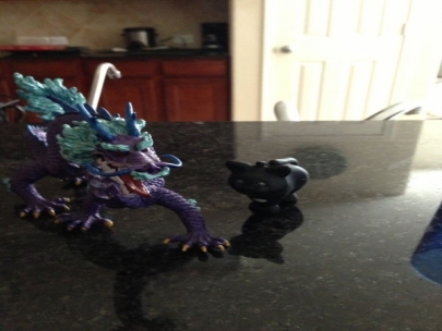 Dragons and cats