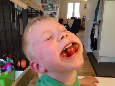 Tomato fun !