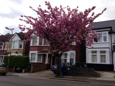 Spring