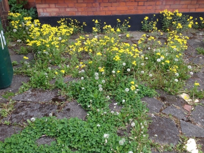 Concrete garden