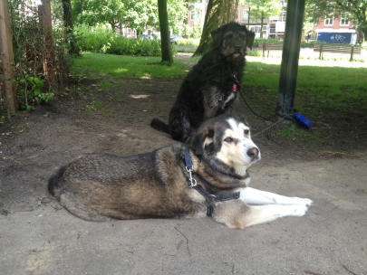 mother & son