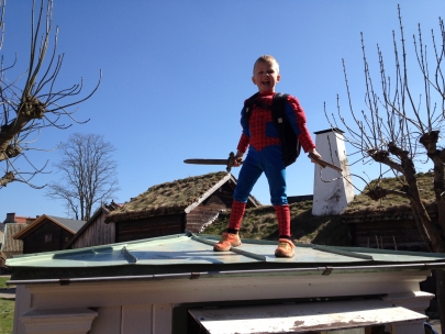Spiderman ninja !