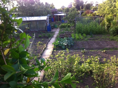 green therapy
