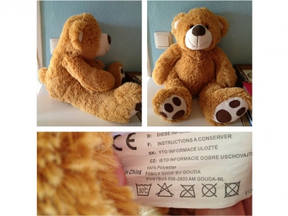 teddy portrait
