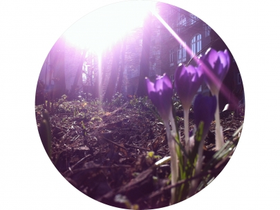 spring