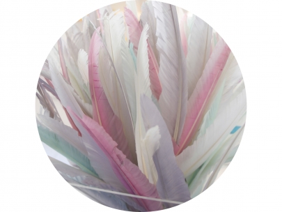 pastelfeathers