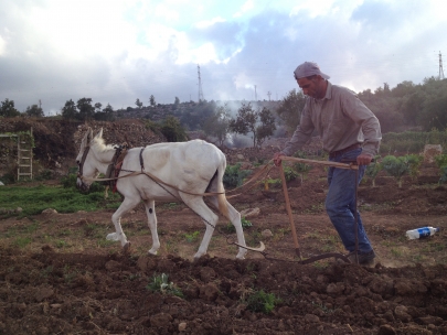 Caressing the land