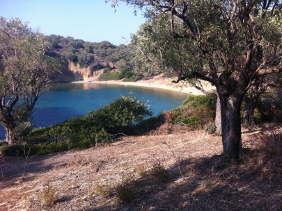 Crowded beaches