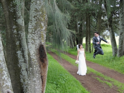 Flying groom