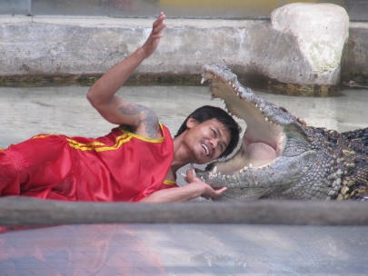 in the zoo 