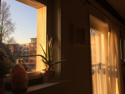 lovely winter sun