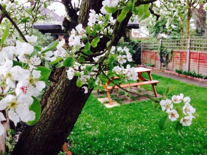 Garden in bloom