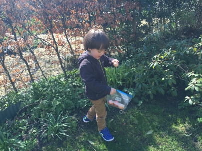 searching eggs