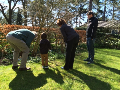 looking for eggs