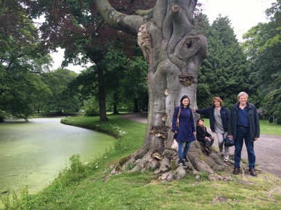 family tree