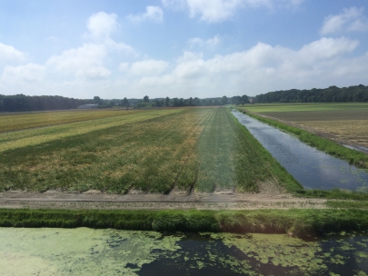 dutch mountains