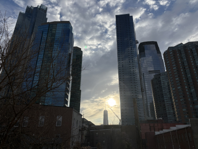 new view