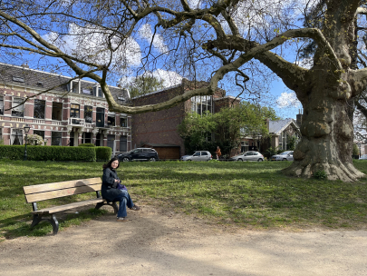 a big friendly tree