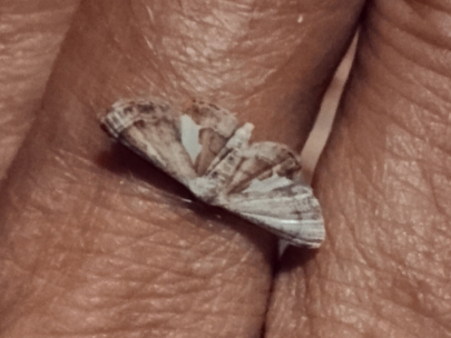 Small and fine