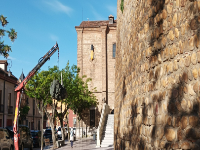 la mosca rinoceronte