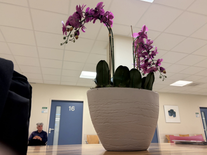 depressing hospital flowers