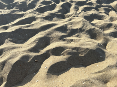 beach