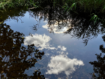 head in the clouds feet on the ground 