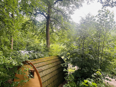de veluwe
