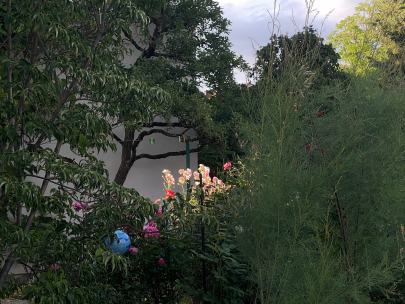 munich suburbs