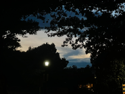 summer night