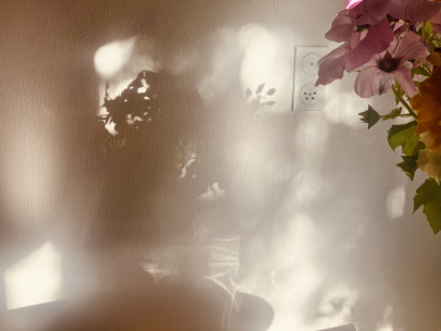Reflections