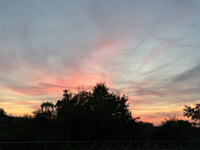 evening