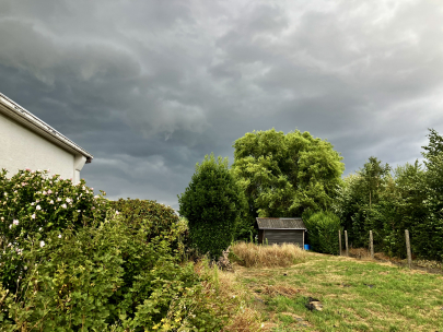 back from west flanders