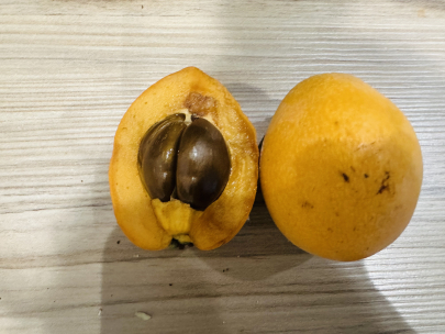 New fruit