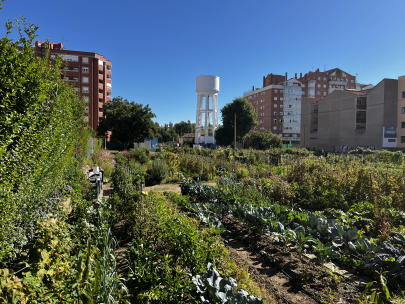 Huertos urbanos Le�n 