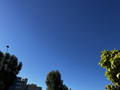 Sol solet vine�m a veure