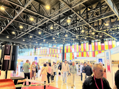 Feria de vi�ndas Le�n 
