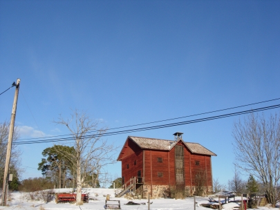 the museum