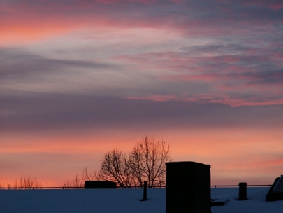 Boxed horizon
